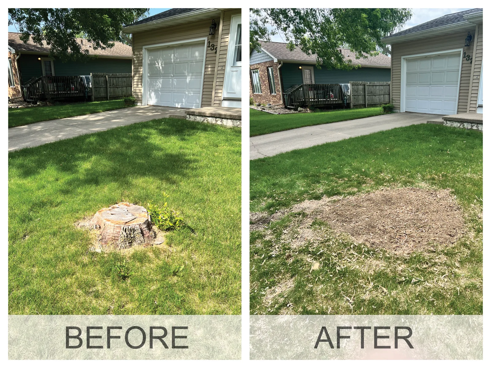 Before and after a stump grinding job: the stump, then level ground