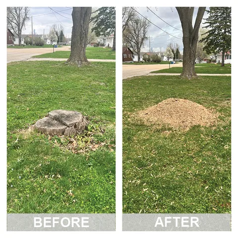 Before and after: a tree stump in an Iowa yard, then level ground with the wood chips raked out