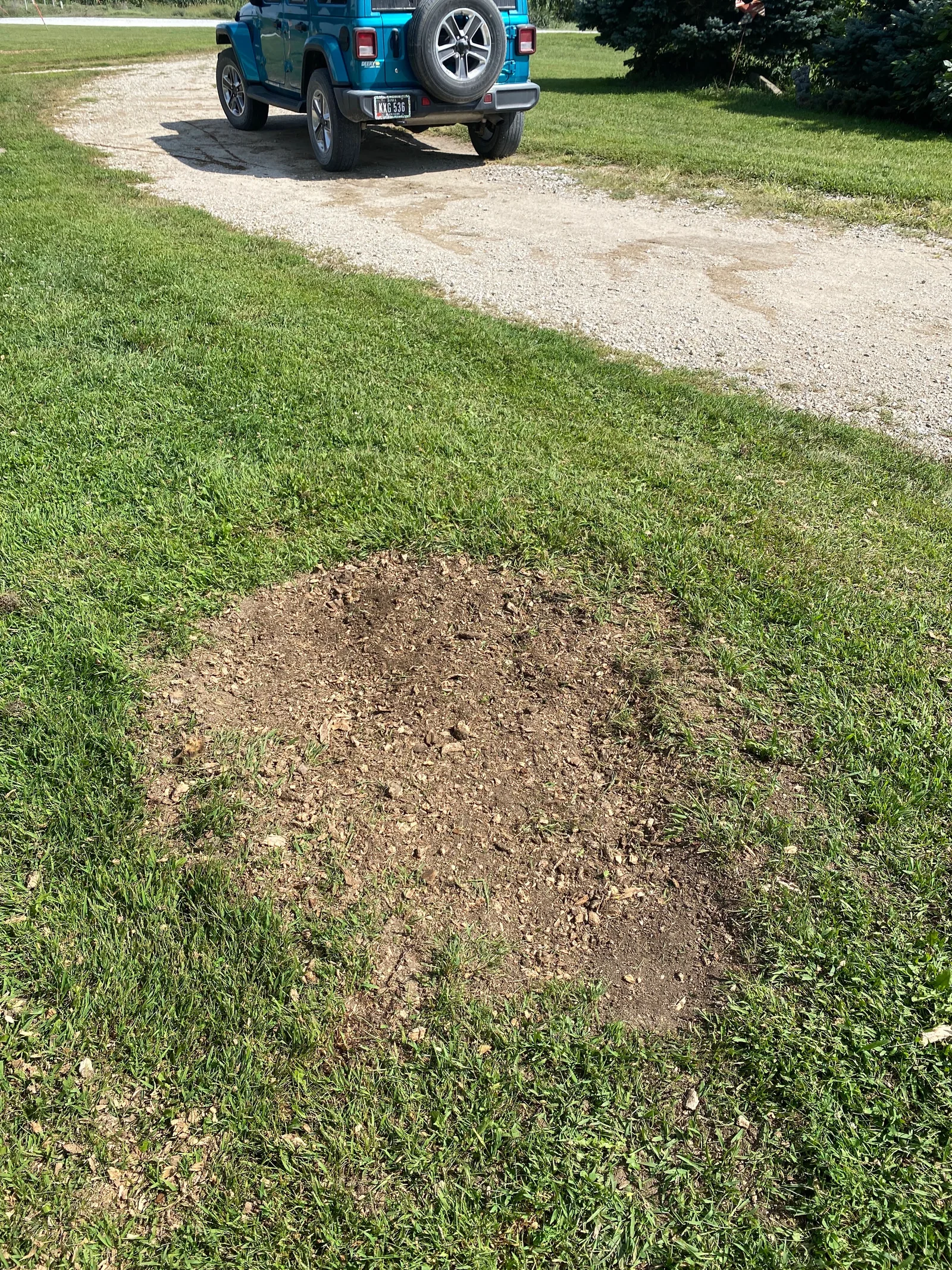 A Cedar Valley yard after stump grinding — the stump gone and the wood chips raked level