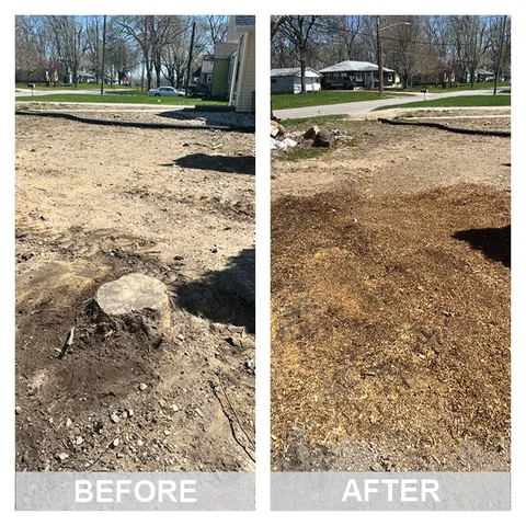Before and after: a tree stump in an Iowa yard, then level ground with the wood chips raked out