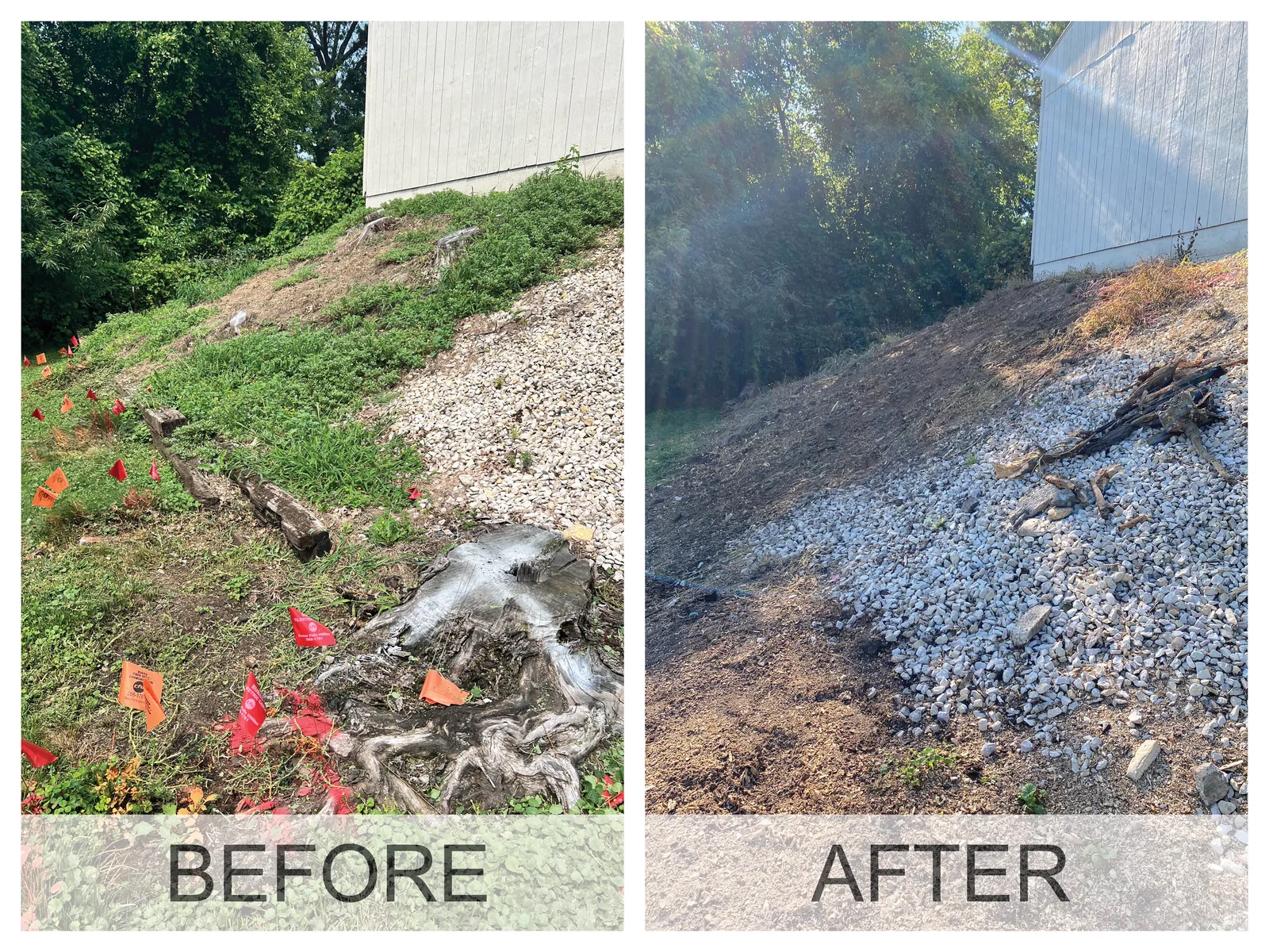 Before and after: a tree stump in an Iowa yard, then level ground with the wood chips raked out