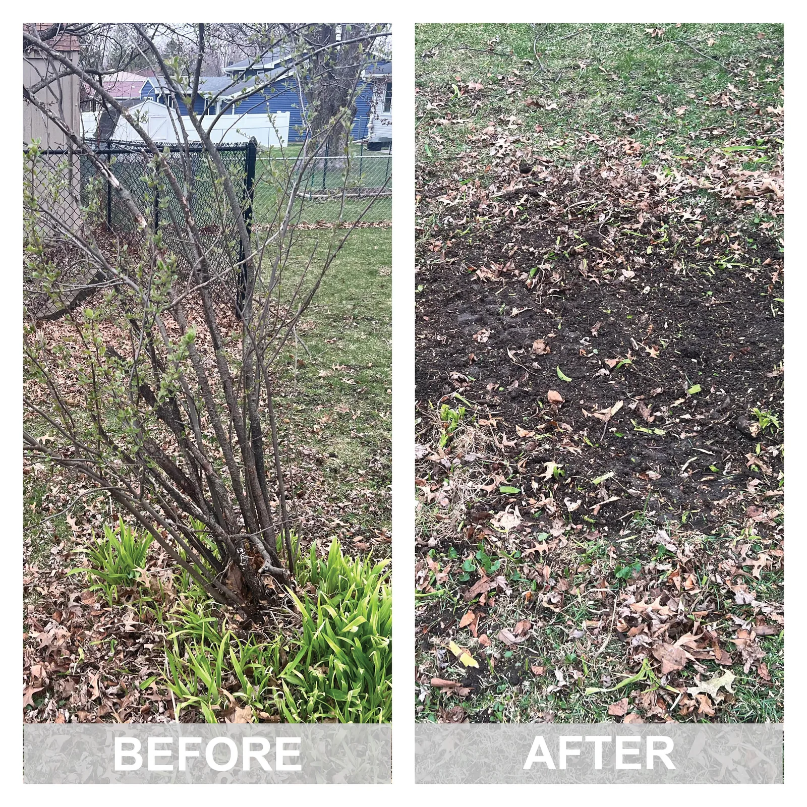 Before and after: a tree stump in an Iowa yard, then level ground with the wood chips raked out