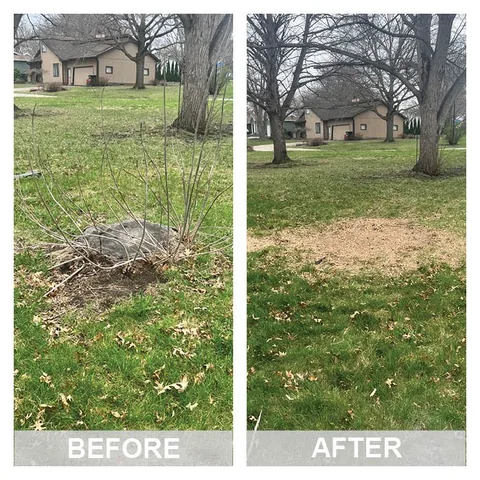 Stump grinding job photo from Victoria Platt's review
