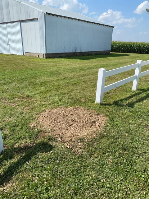 Stump grinding job photo from Tonya Neuberger's review